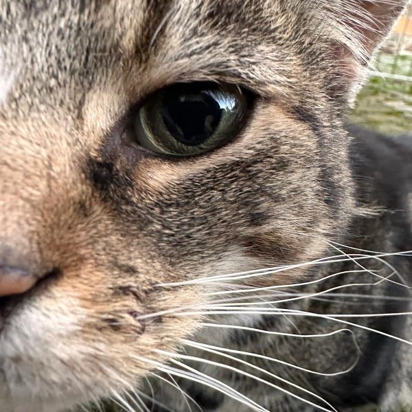 385dad22-0e2a-4a58-868f-63a988529b69