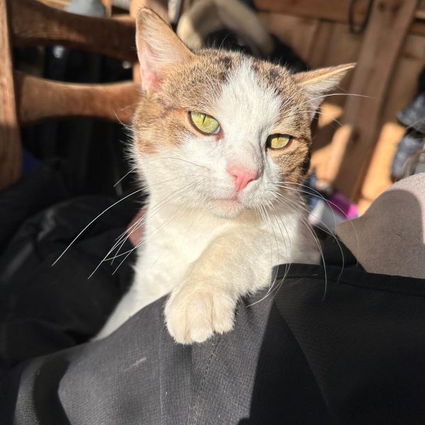 67ffb699-3656-4fde-8ec6-7338a779e23b