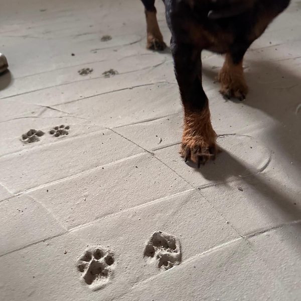 ad57c4b5-650c-4494-93b5-04a8105dcb81