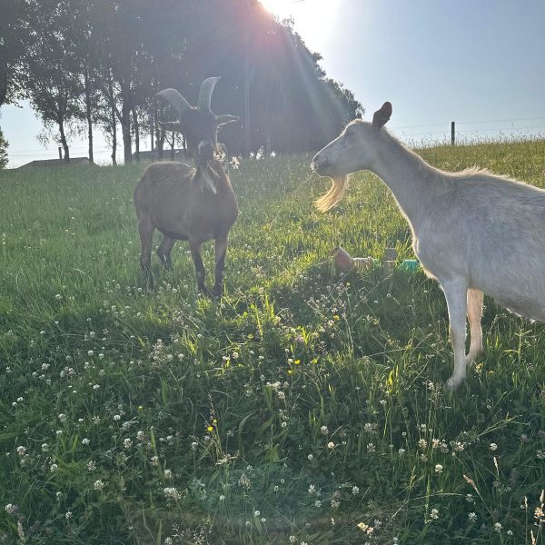 b267cb4f-5402-4102-bdb5-dc58e57d9d55