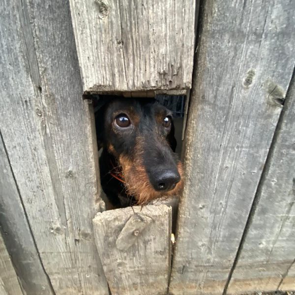 fd6f6c5d-8c2f-42cb-bf32-7debaf22aa7a